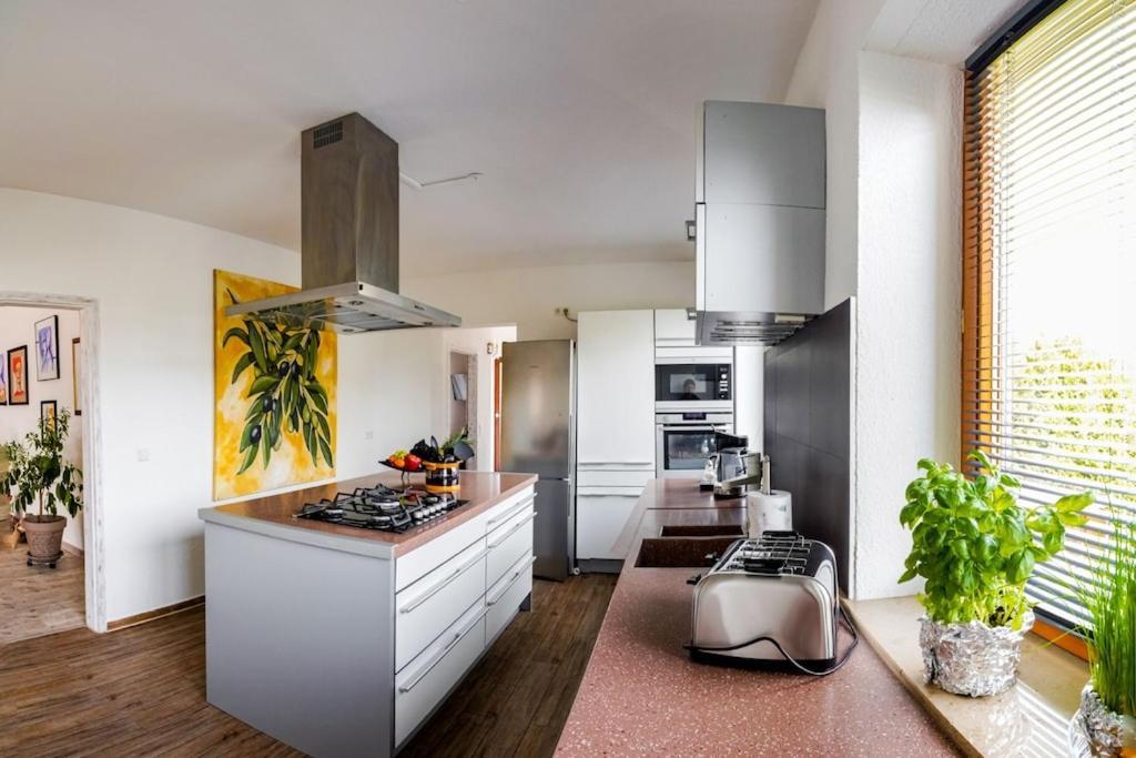 Ferienwohnung Finke 2 Фридрихсхафен Экстерьер фото